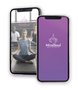 Mindsoul app presentation